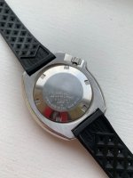 IMG_3366.jpeg