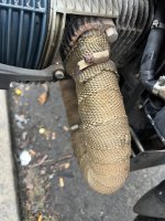 IMG_7017.jpeg