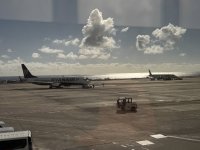 IMG_4232.jpeg IMG_4232.jpeg