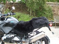 Bike 328.jpg