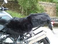 Bike 324.jpg