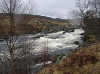 DSCN3515A.jpg