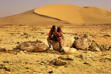 Africa100099aThinkingwithdune.jpg