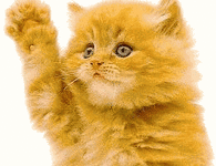 image009.gif