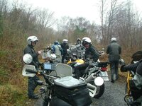 UKGSer (13).jpg