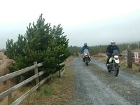 UKGSer (2).jpg