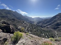 IMG_4297.jpeg