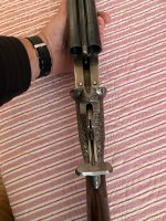 IMG_8556.jpeg