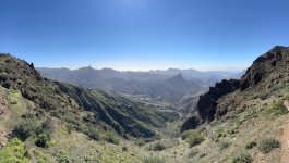 IMG_4333.jpeg