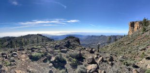 IMG_4354.jpeg