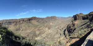 IMG_4359.jpeg