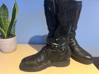 IMG_7361.jpeg