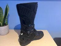IMG_7355.jpeg