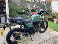 IMG_9584.jpeg