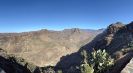 IMG_4438.jpeg