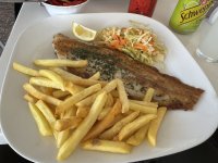 IMG_4443.jpeg