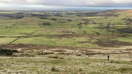IMG_0295.jpeg