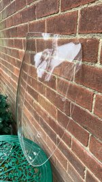 IMG_0839.jpeg