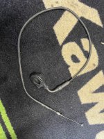 IMG_9534.jpeg