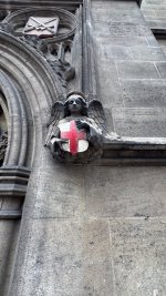 IMG_9381.jpeg