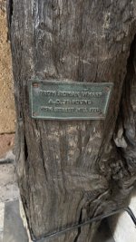 IMG_9476.jpeg