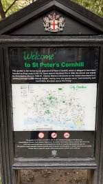 IMG_9505.jpeg