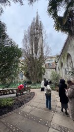 IMG_9522.jpeg