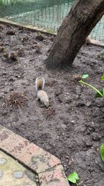 IMG_9523.jpeg