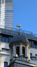 IMG_9556.jpeg