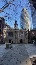 IMG_9602.jpeg