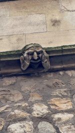 IMG_9606.jpeg