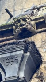 IMG_9608.jpeg