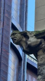 IMG_9609.jpeg