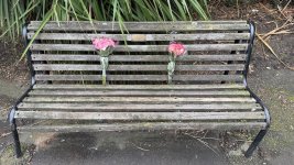IMG_8759.jpeg