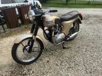triumph speed twin.jpg