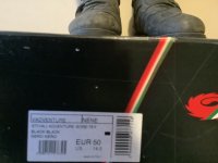 IMG_0036.jpeg