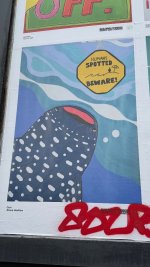 IMG_8786.jpeg