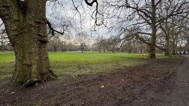 IMG_8827.jpeg