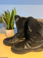 IMG_7388.jpeg