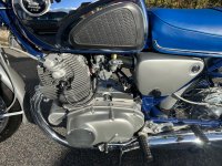 IMG_7166.jpeg