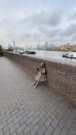IMG_8838.jpeg
