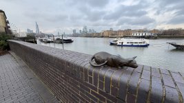 IMG_8840.jpeg