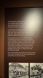 IMG_9782.jpeg IMG_9782.jpeg