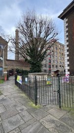 IMG_8872.jpeg