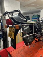 IMG_7531.jpeg