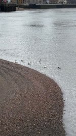 IMG_9712.jpeg IMG_9712.jpeg