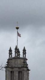 IMG_9742.jpeg IMG_9742.jpeg