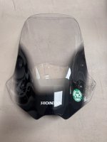 IMG_2036.jpeg
