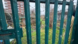 IMG_9838.jpeg IMG_9838.jpeg