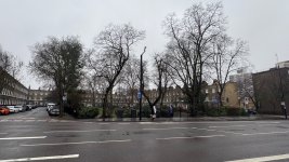 IMG_9849.jpeg IMG_9849.jpeg